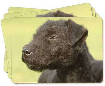 Patterdale Terrier Dogs Picture Placemats in Gift Box
