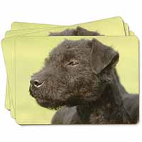 Patterdale Terrier Dogs Picture Placemats in Gift Box - Advanta Group®