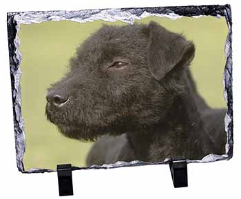 Patterdale Terrier Dogs, Stunning Photo Slate