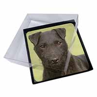 4x Patterdale Terrier Dog Picture Table Coasters Set in Gift Box