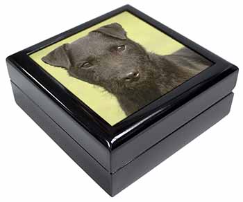 Patterdale Terrier Dog Keepsake/Jewellery Box