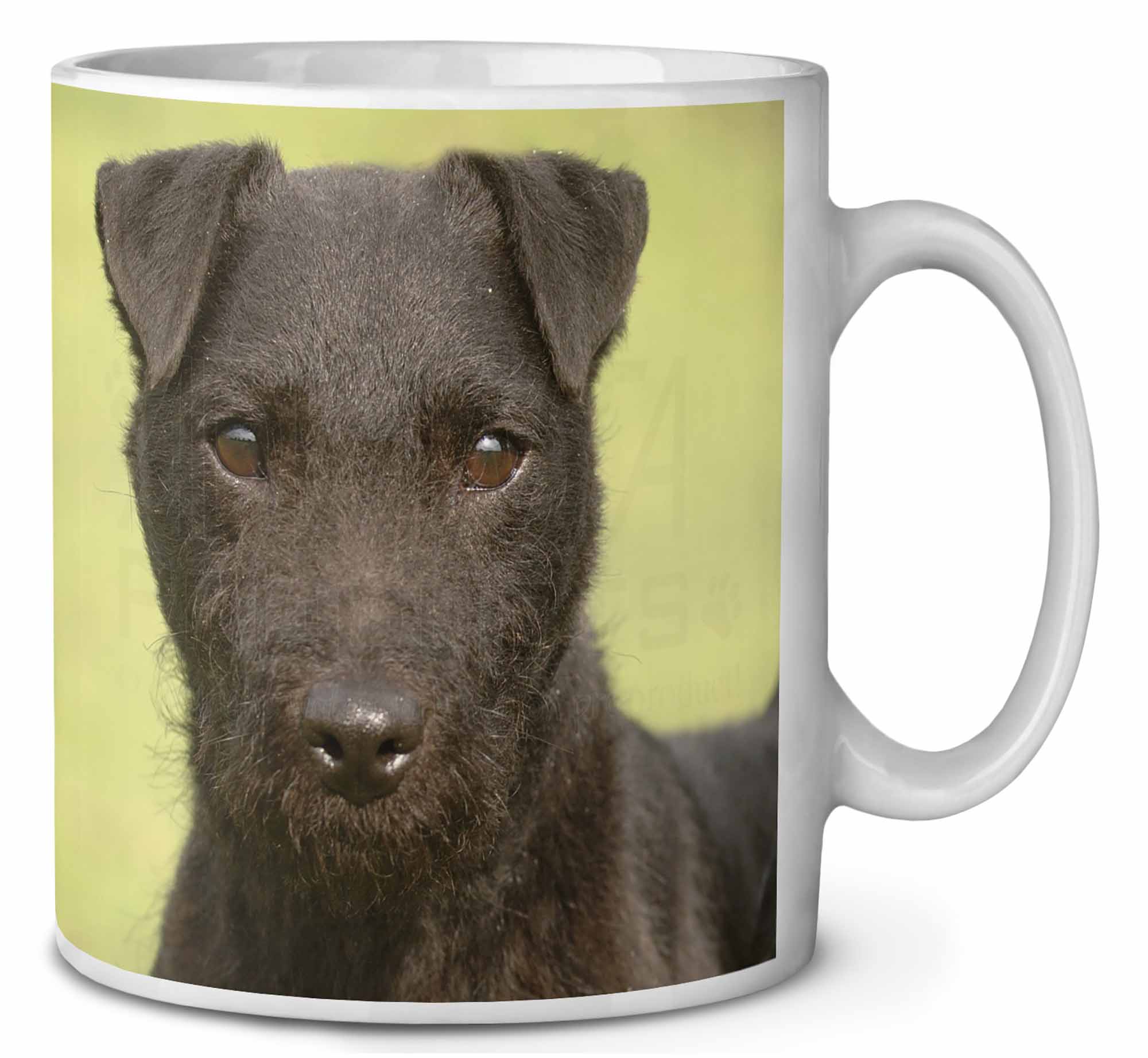 patterdale terrier keyring