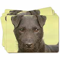 Patterdale Terrier Dog Picture Placemats in Gift Box