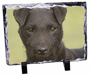 Patterdale Terrier Dog, Stunning Photo Slate