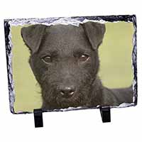 Patterdale Terrier Dog, Stunning Animal Photo Slate