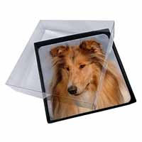 4x Rough Collie Dog Picture Table Coasters Set in Gift Box