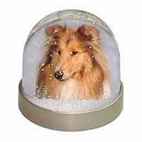 Rough Collie Dog Snow Globe Photo Waterball