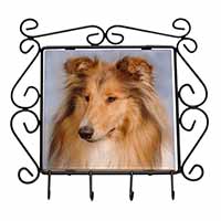 Rough Collie Dog Wrought Iron Key Holder Hooks