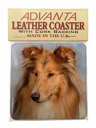Rough Collie Dog Single Leather Photo Coaster