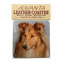 Rough Collie Dog Single Leather Photo Coaster