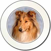 Rough Collie Dog Car or Van Permit Holder/Tax Disc Holder