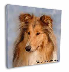 Rough Collie Dog 