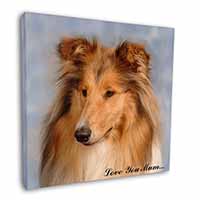 Rough Collie Dog 