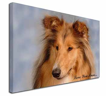 Rough Collie Dog 