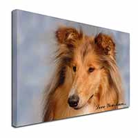 Rough Collie Dog 