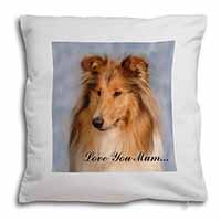 Rough Collie Dog 