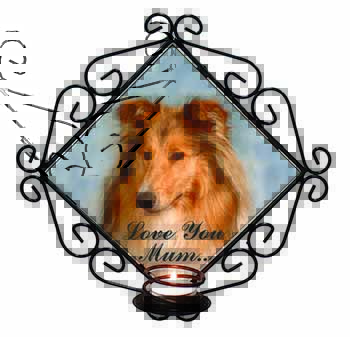 Rough Collie Dog 