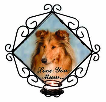 Rough Collie Dog 