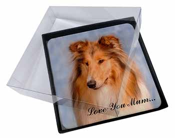 4x Rough Collie Dog 