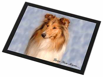 Rough Collie Dog 