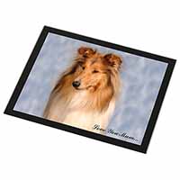 Rough Collie Dog 