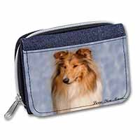 Rough Collie Dog 