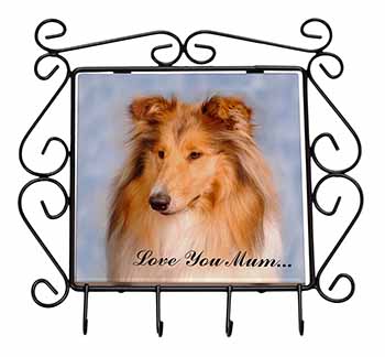 Rough Collie Dog 