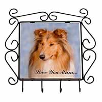 Rough Collie Dog 