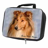 Rough Collie Dog 