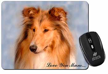 Rough Collie Dog 