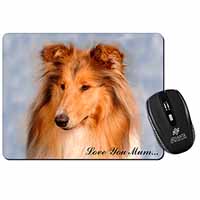 Rough Collie Dog 