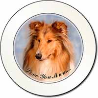 Rough Collie Dog 