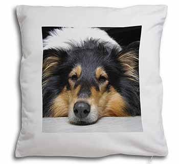 Tri-Colour Rough Collie Dog Soft White Velvet Feel Scatter Cushion