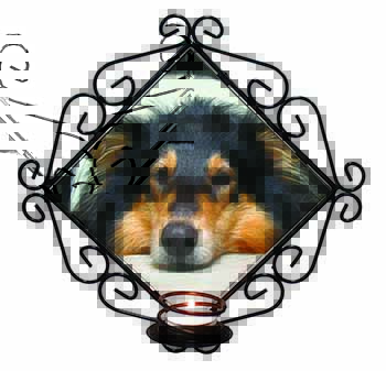 Tri-Colour Rough Collie Dog Wrought Iron Wall Art Candle Holder
