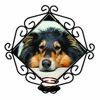 Tri-Colour Rough Collie Dog Wrought Iron Wall Art Candle Holder