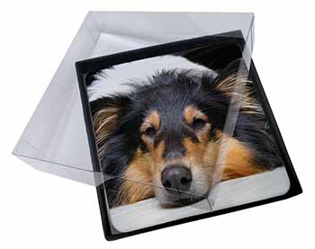 4x Tri-Colour Rough Collie Dog Picture Table Coasters Set in Gift Box