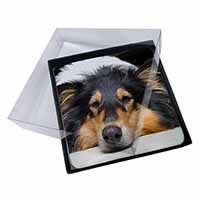4x Tri-Colour Rough Collie Dog Picture Table Coasters Set in Gift Box
