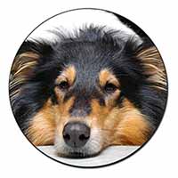 Tri-Colour Rough Collie Dog Fridge Magnet Printed Full Colour