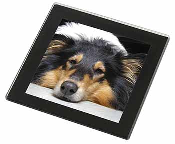 Tri-Colour Rough Collie Dog Black Rim High Quality Glass Coaster