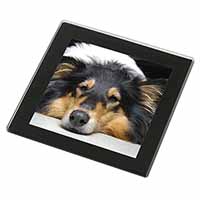 Tri-Colour Rough Collie Dog Black Rim High Quality Glass Coaster