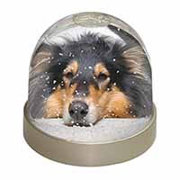 Tri-Colour Rough Collie Dog Snow Globe Photo Waterball