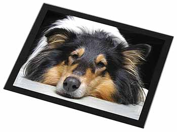 Tri-Colour Rough Collie Dog Black Rim High Quality Glass Placemat