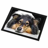 Tri-Colour Rough Collie Dog Black Rim High Quality Glass Placemat