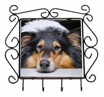 Tri-Colour Rough Collie Dog Wrought Iron Key Holder Hooks