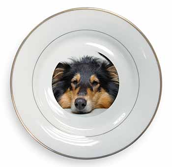 Tri-Colour Rough Collie Dog Gold Rim Plate Printed Full Colour in Gift Box