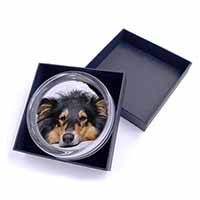Tri-Colour Rough Collie Dog Glass Paperweight in Gift Box