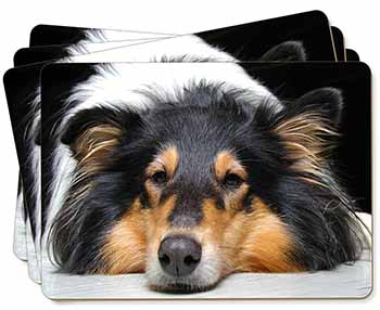 Tri-Colour Rough Collie Dog Picture Placemats in Gift Box