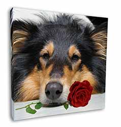 A Rough Collie Dog with Red Rose Square Canvas 12"x12" Wall Art Picture Print
