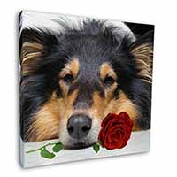 A Rough Collie Dog with Red Rose Square Canvas 12"x12" Wall Art Picture Print