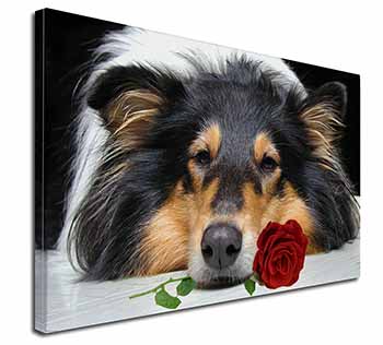 A Rough Collie Dog with Red Rose Canvas X-Large 30"x20" Wall Art Print